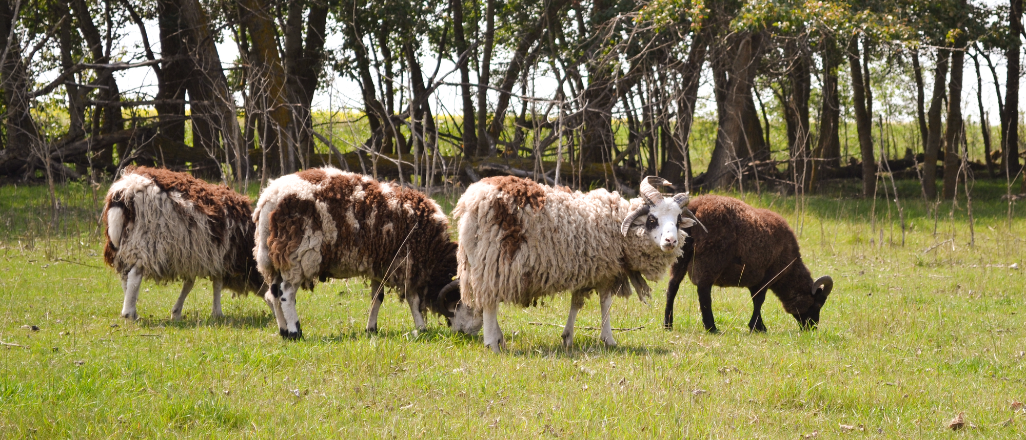 Buoyed by those who Support Sustainable