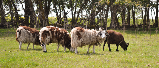 Buoyed by those who Support Sustainable