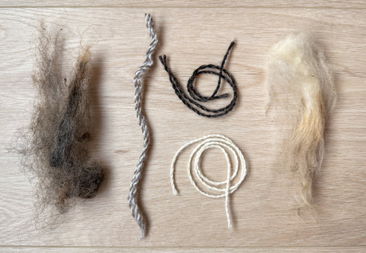 Why 100% Rescued Wool is the Best Choice for Blankets