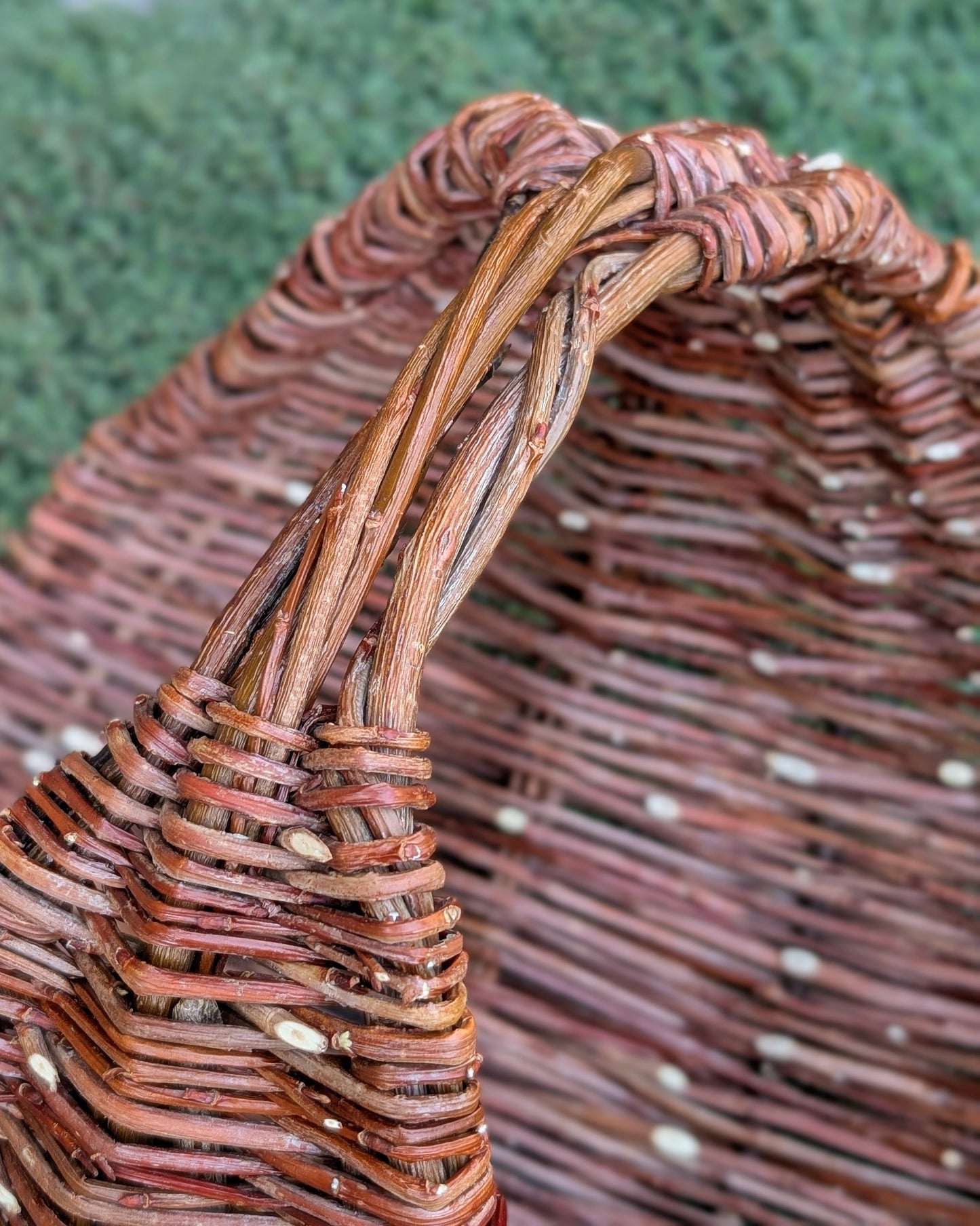 Willow Gathering Basket Class