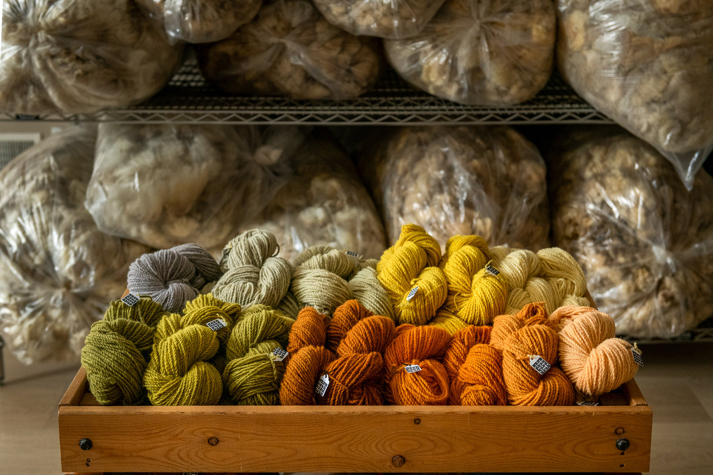 Natural Dyeing Workshop – Forage & Dye Your Own Yarn