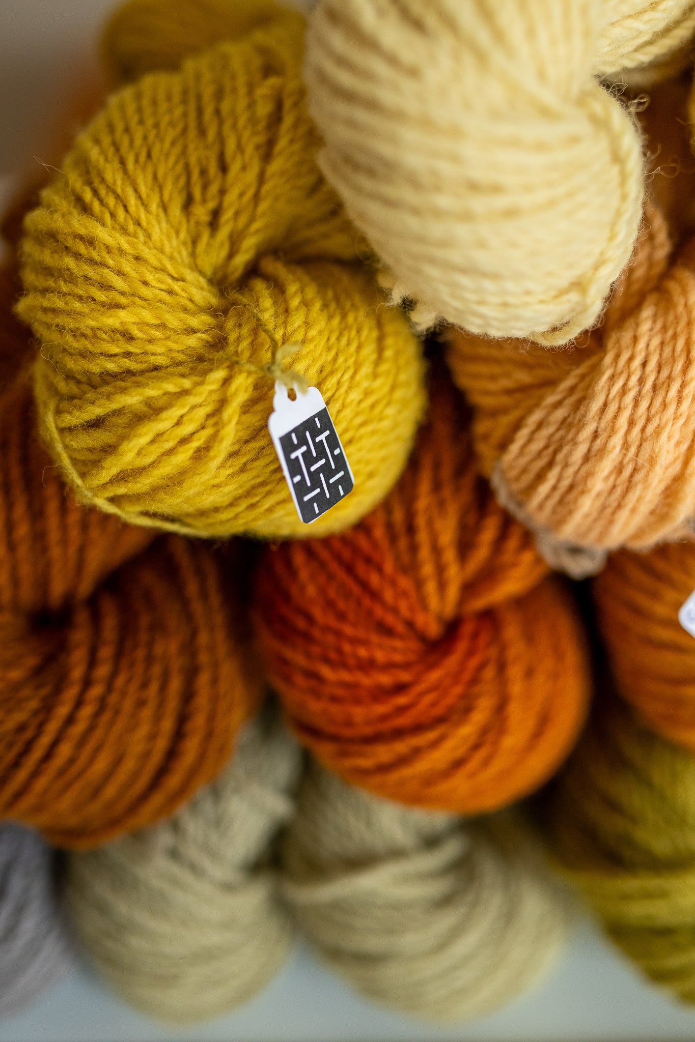 Natural Dyeing Workshop – Forage & Dye Your Own Yarn