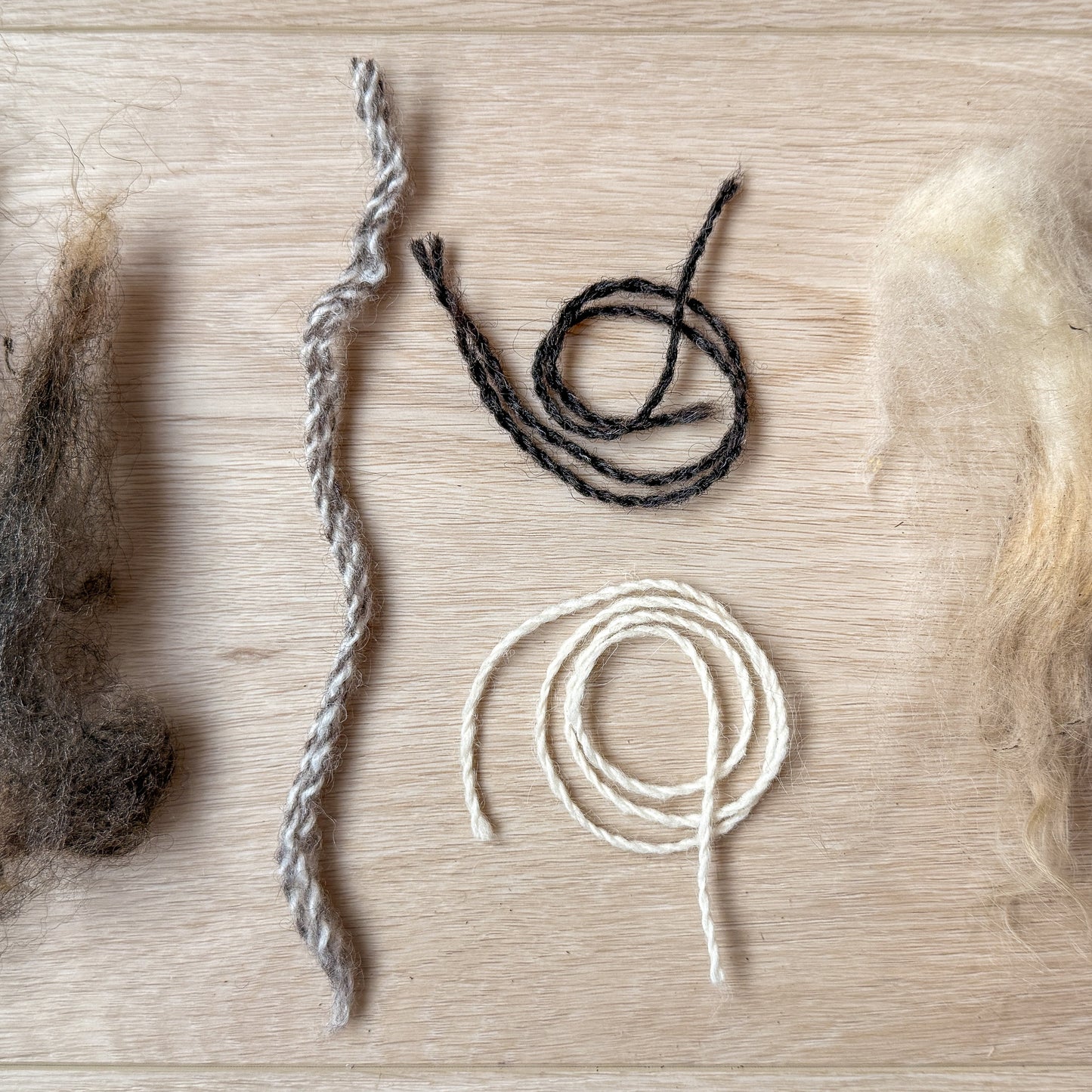 From Raw Fleece to Yarn – A Spinning Workshop