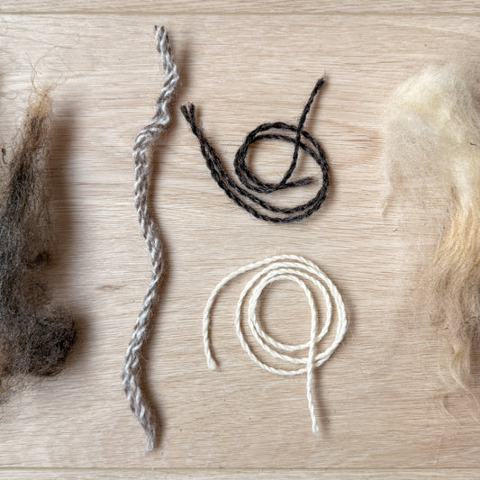 From Raw Fleece to Yarn – A Spinning Workshop