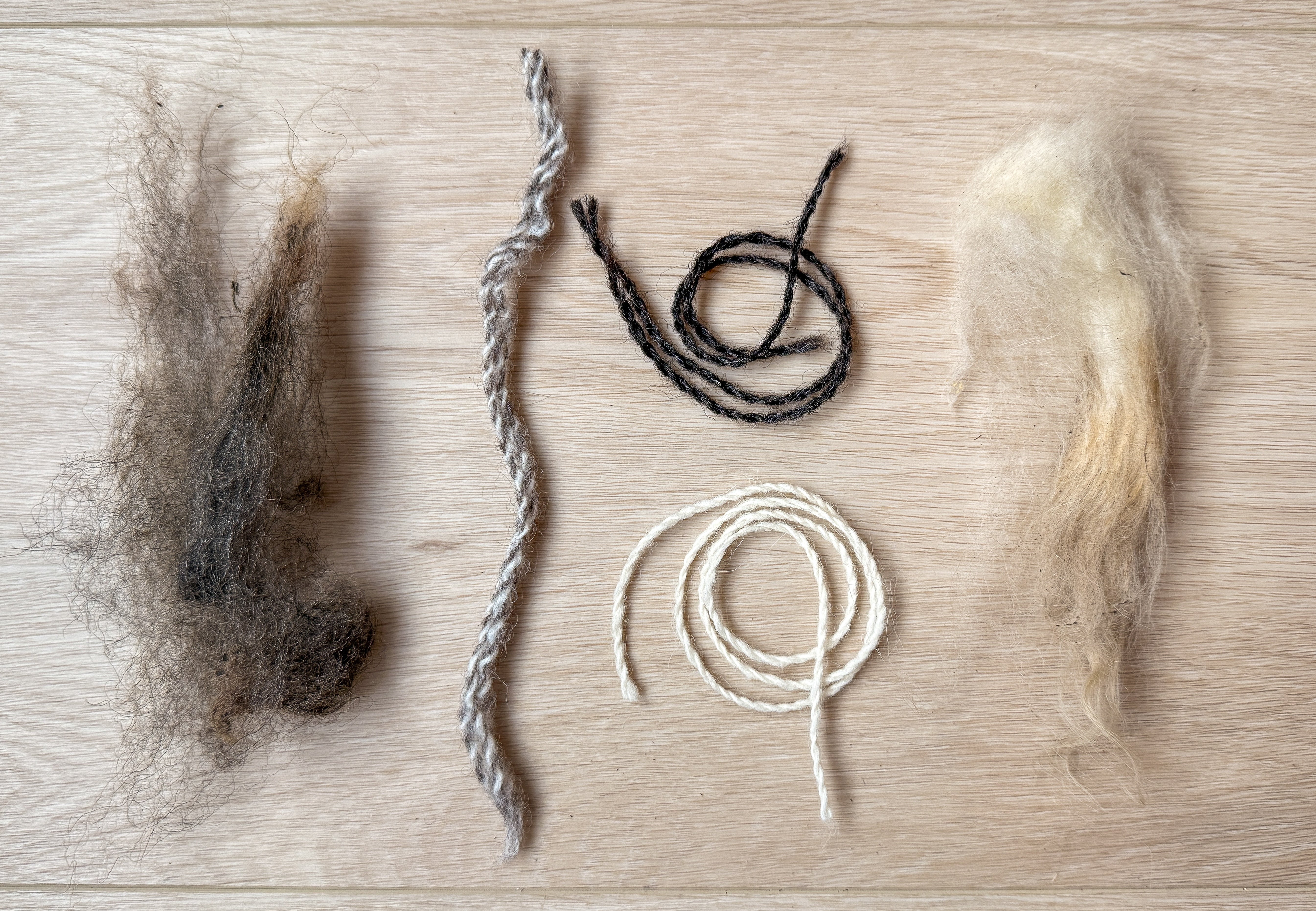 Tracable Wool Why 100% Rescued Wool is the Best Choice for Blankets – Traceable Textiles