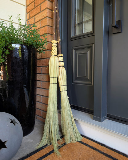 Cobwebber Broom Class