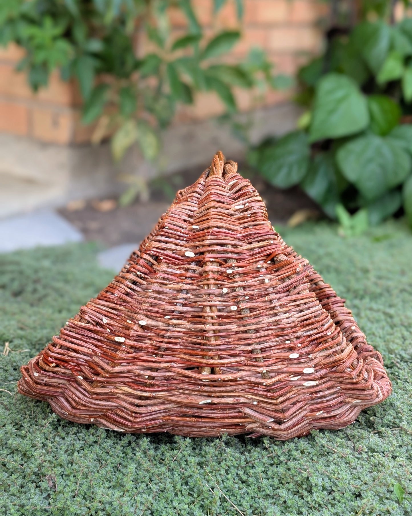 Willow Gathering Basket Class