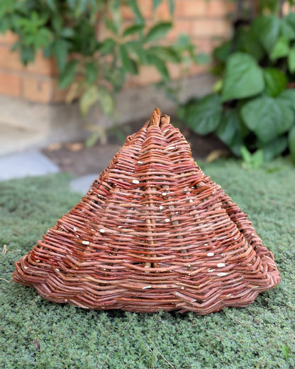 Willow Gathering Basket Class
